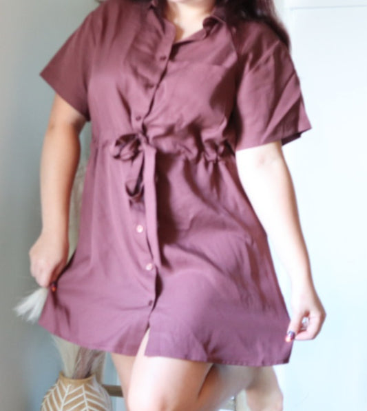 Mulberry Shirt Dress