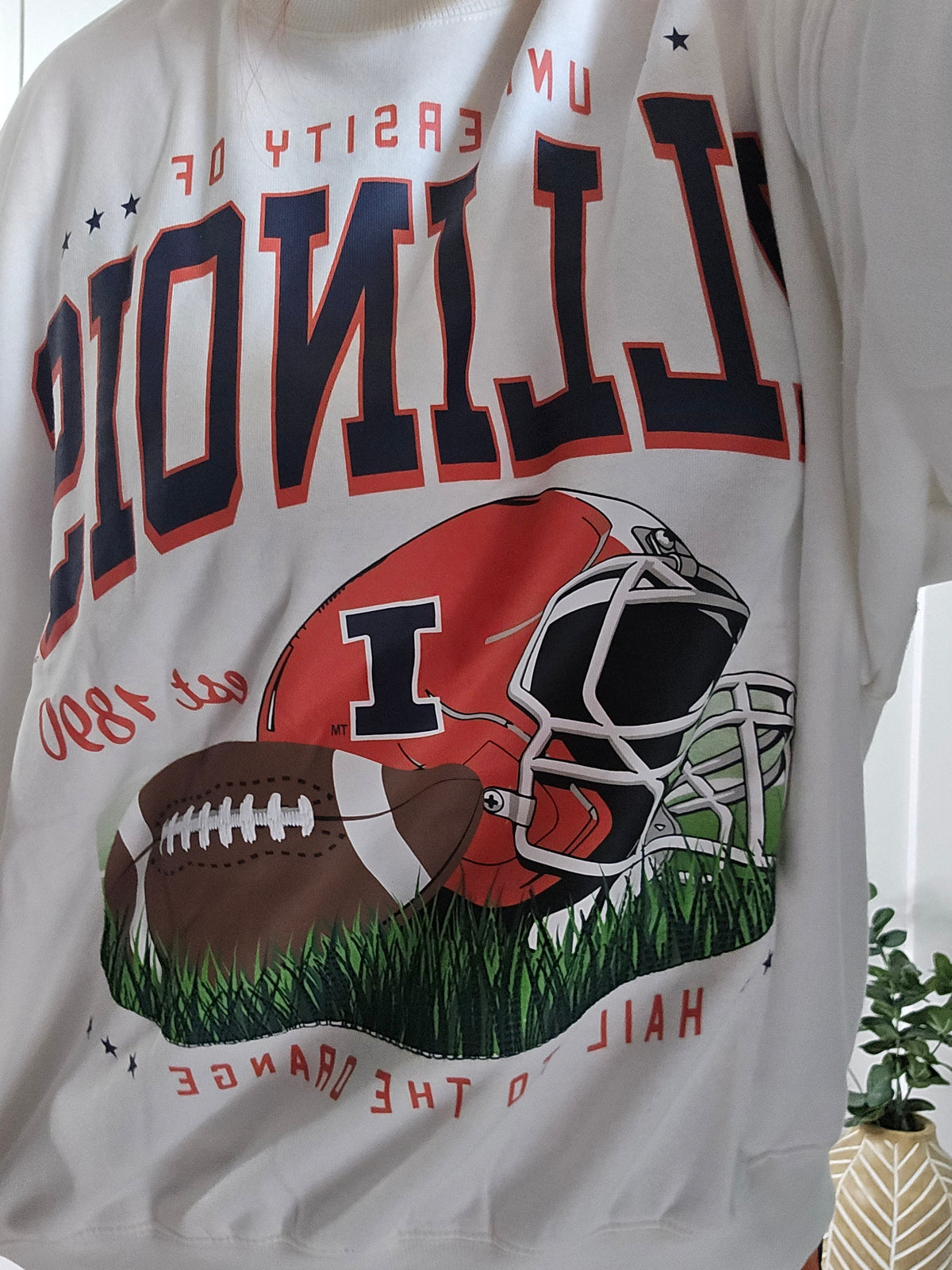 Illinois Football Crewneck